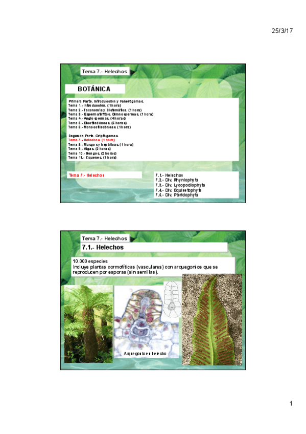 Miniatura del documento Tema-7.pdf