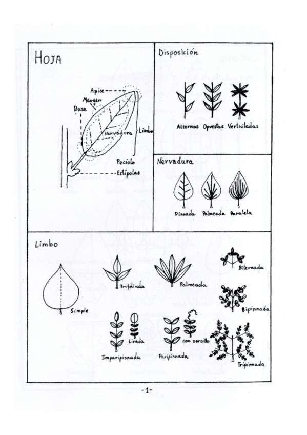 Miniatura del documento Glosario-comprimido.pdf