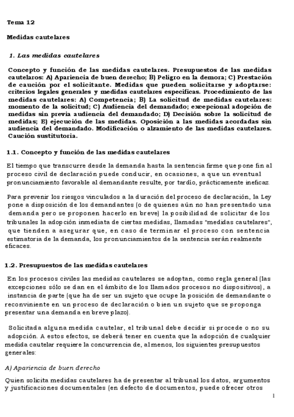 Miniatura del documento TEMA-12-MEDIDAS-CAUTELARES.pdf