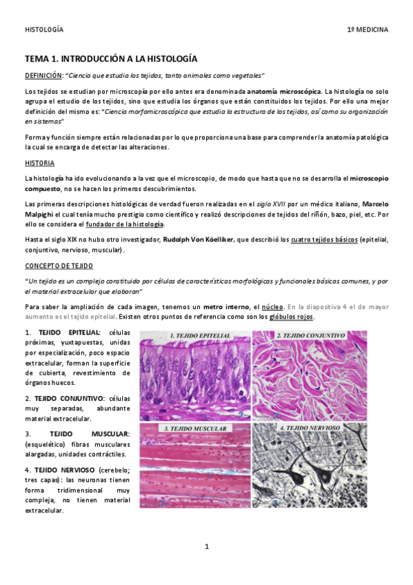 Miniatura del documento APUNTES BLOQUE I- HISTOLOGÍA W.pdf