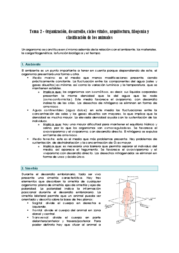 Miniatura del documento Tema-2-Organizacion-desarrollo-ciclos-vitales-arquitectura-filogenia-y-clasificacion-de-los-animales.pdf