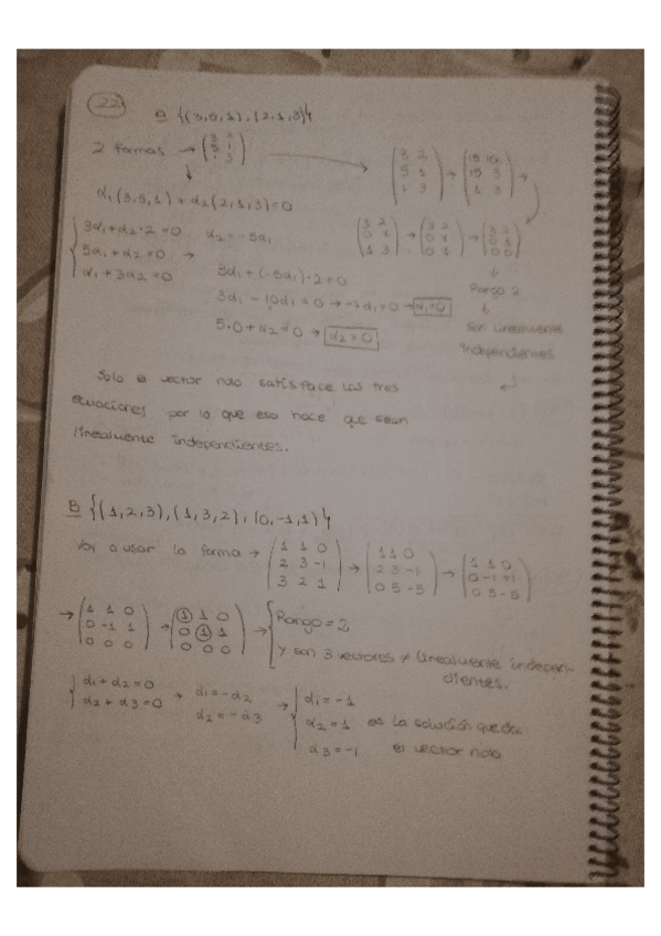 Miniatura del documento TEMA-DE-ALGEBRA-2.pdf