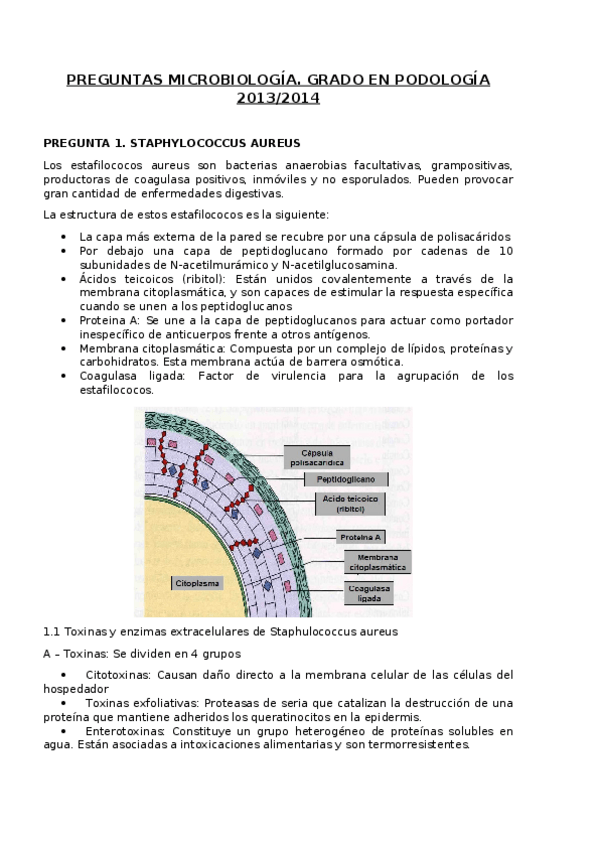 Miniatura del documento PREGUNTAS-MICROBIOLOGIA.docx