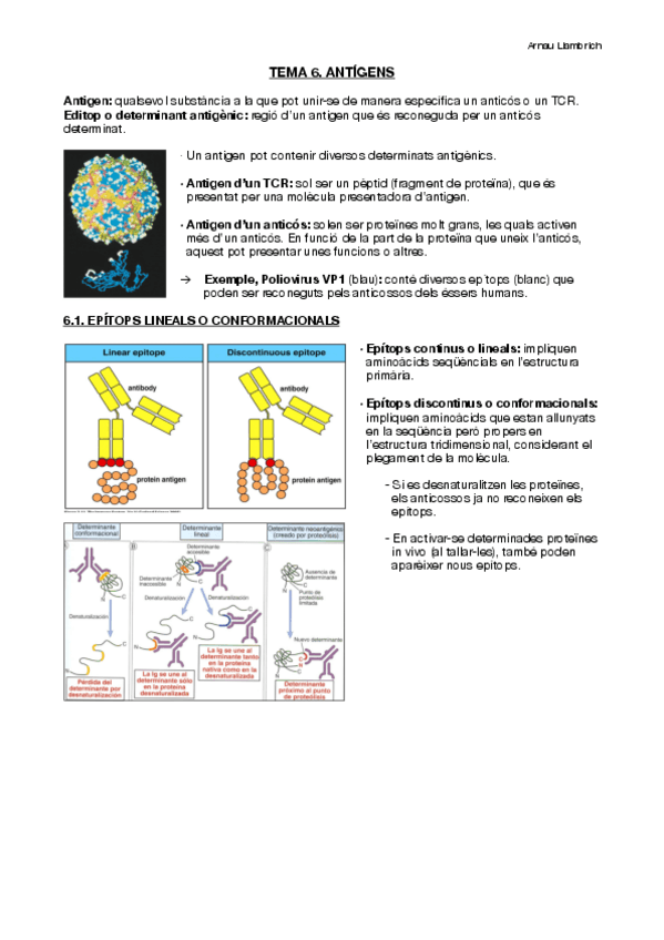 Miniatura del documento Apunts-Immunologia-Temes-6-i-7.pdf
