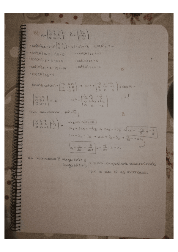 Miniatura del documento TEMA-DE-ALGEBRA-2-paginas-11-20.pdf