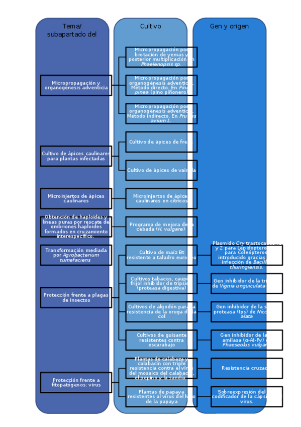 Miniatura del documento Ejemplos-de-casos-practicos.docx