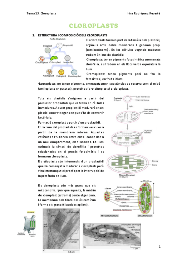 Miniatura del documento Tema-13.pdf