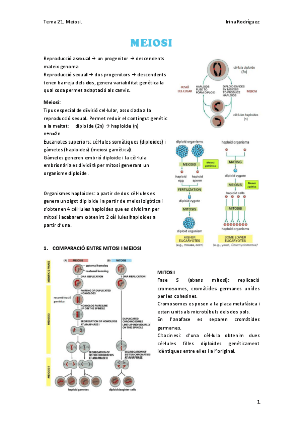Miniatura del documento Tema-21.pdf