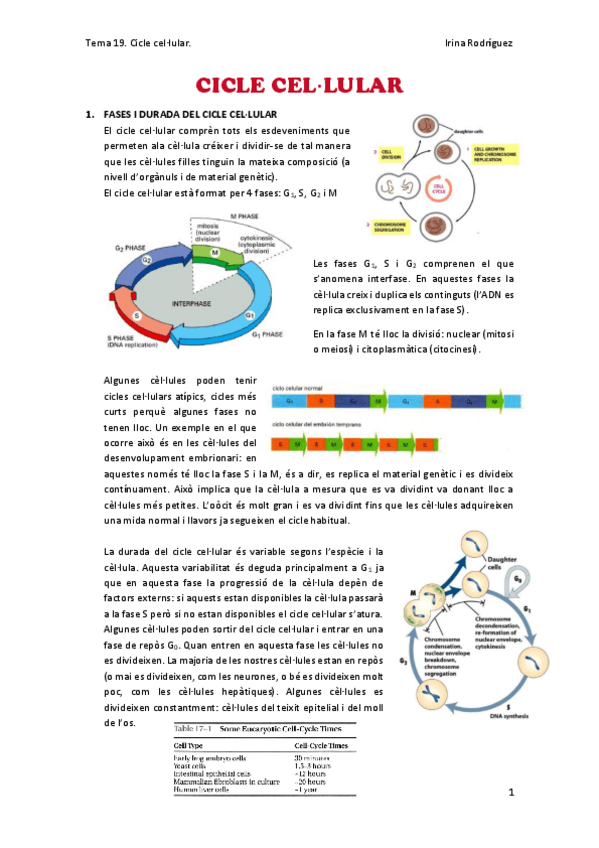 Miniatura del documento Tema-19.pdf