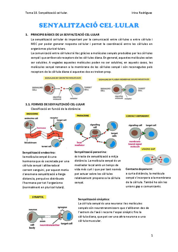 Miniatura del documento Tema-18.pdf