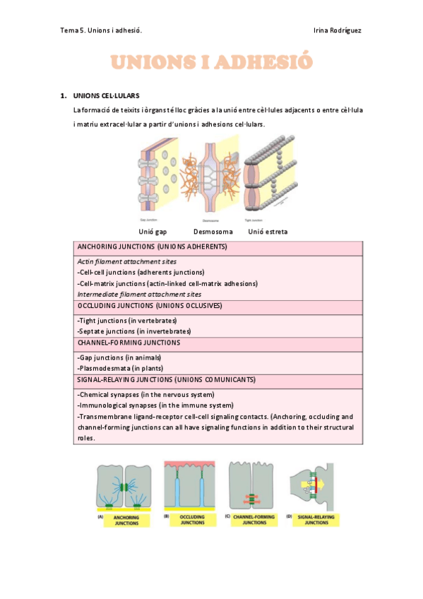 Miniatura del documento Tema-5.pdf