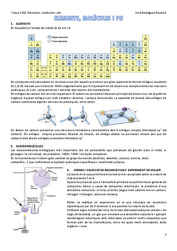 Miniatura del documento Elements-i-molecules-de-lentorn-fisic.pdf
