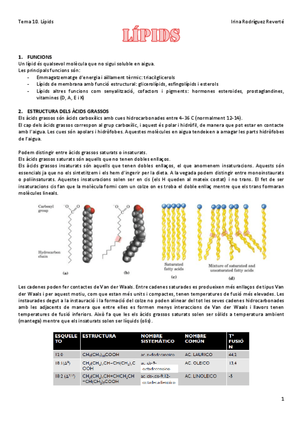 Miniatura del documento Tema-10.pdf