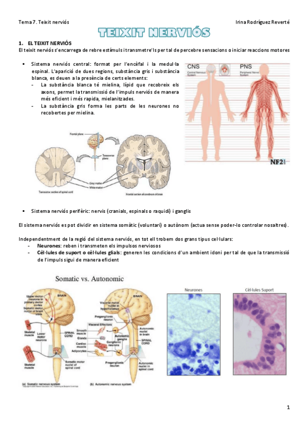 Miniatura del documento Tema-7.pdf