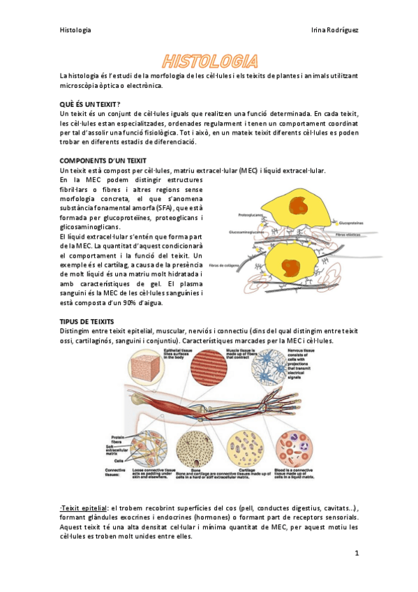 Miniatura del documento Histologia-introduccio.pdf