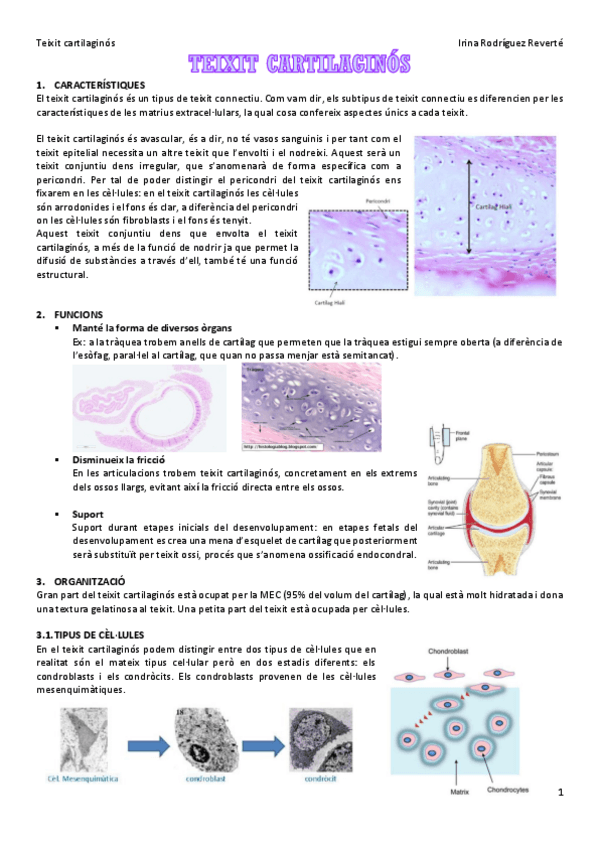 Miniatura del documento Teixit-cartilaginos.pdf