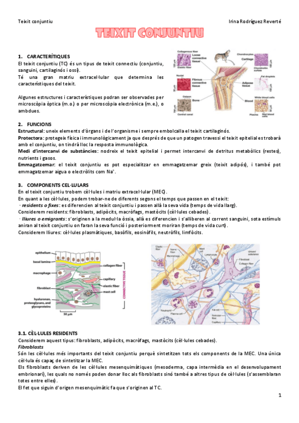 Miniatura del documento Teixit-conjuntiu.pdf