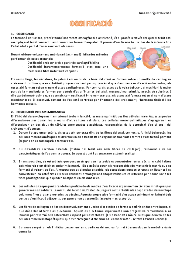 Miniatura del documento Classe-invertida-ossificacio.pdf