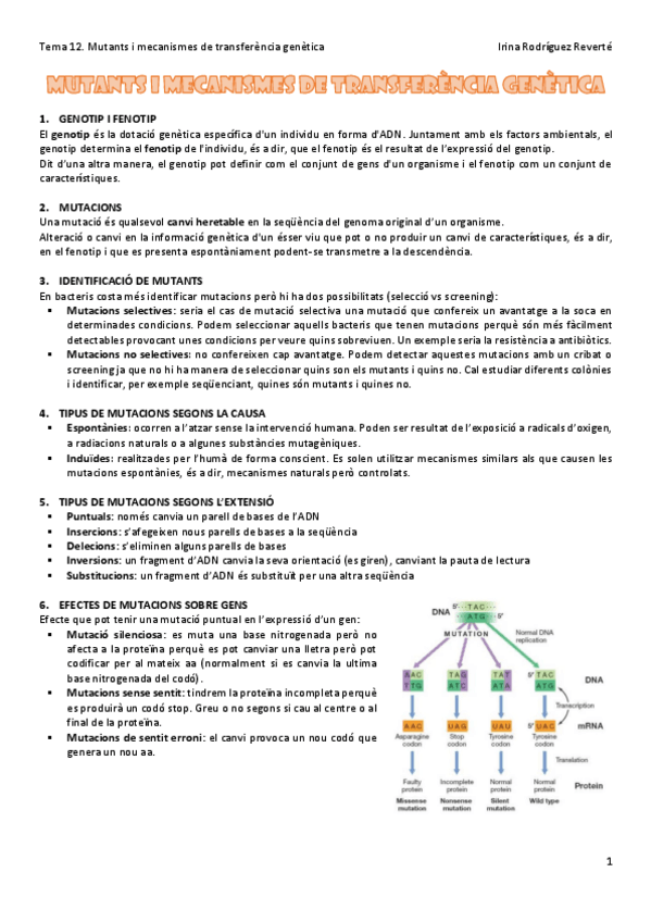 Miniatura del documento Tema-12.pdf
