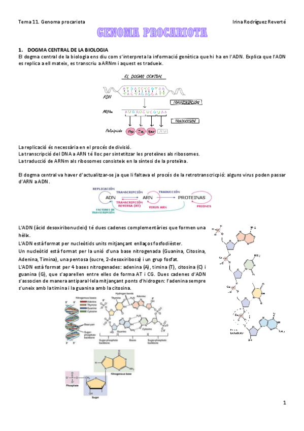 Miniatura del documento Tema-11.pdf
