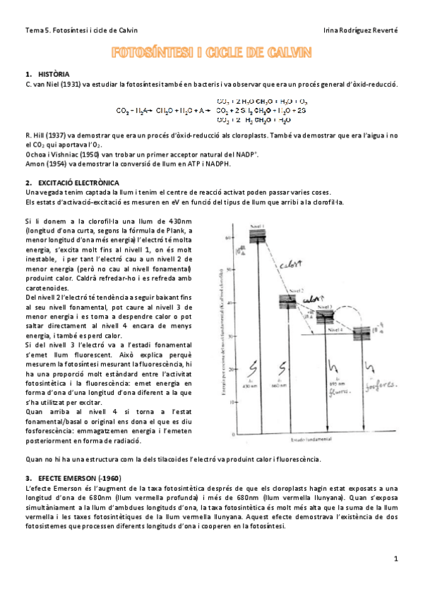 Miniatura del documento Tema-5-FV.pdf