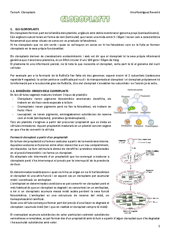 Miniatura del documento Tema-4-FV.pdf
