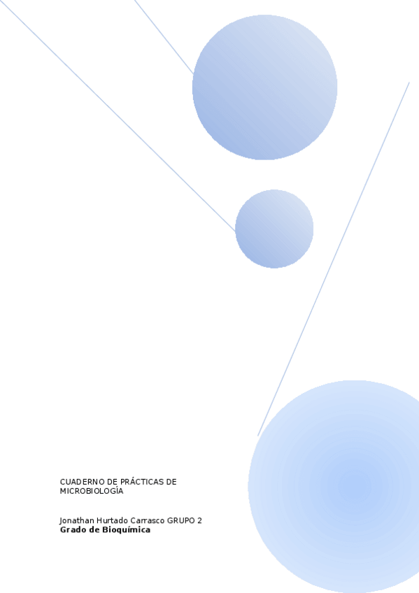 Miniatura del documento Practicas.docx