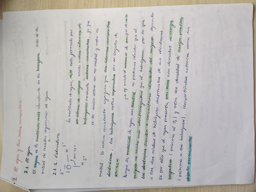 Miniatura del documento IMG20191013135400.jpg