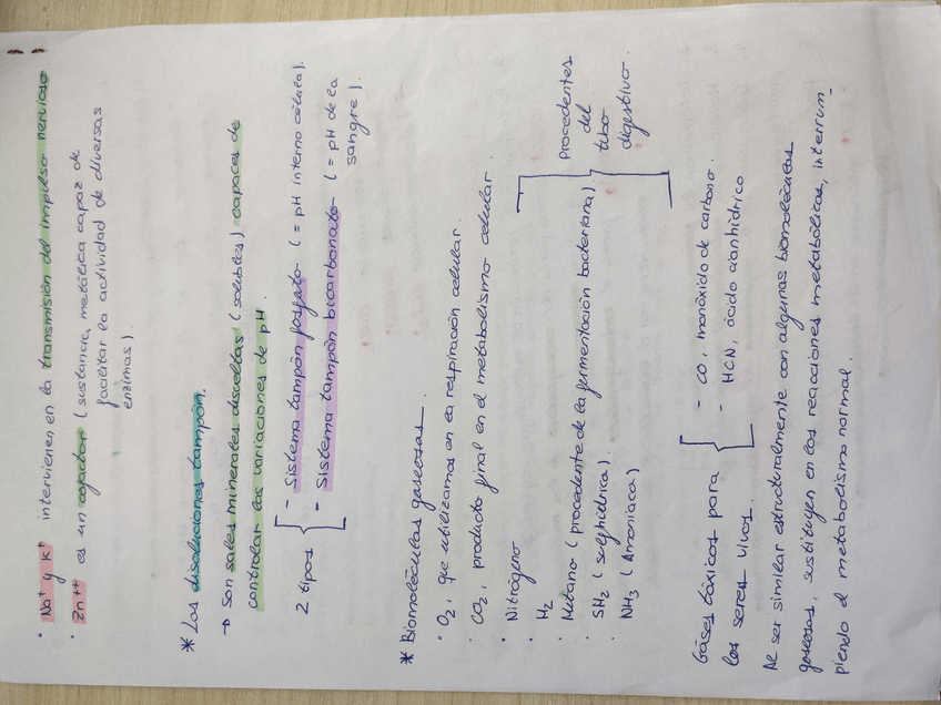 Miniatura del documento IMG20191013135502.jpg