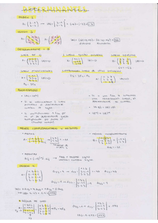 Miniatura del documento DETERMINANTES.pdf
