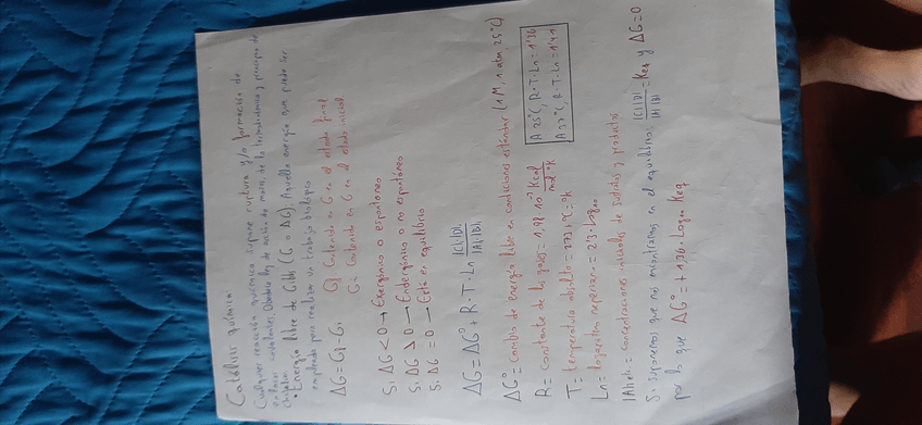 Miniatura del documento 15709814107325481267641227795790.jpg