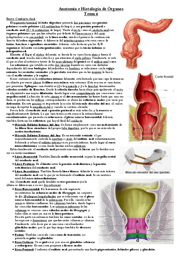 Miniatura del documento Tema-6.pdf