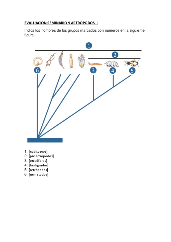 Miniatura del documento Evaluación seminario 9 Artrópodos II