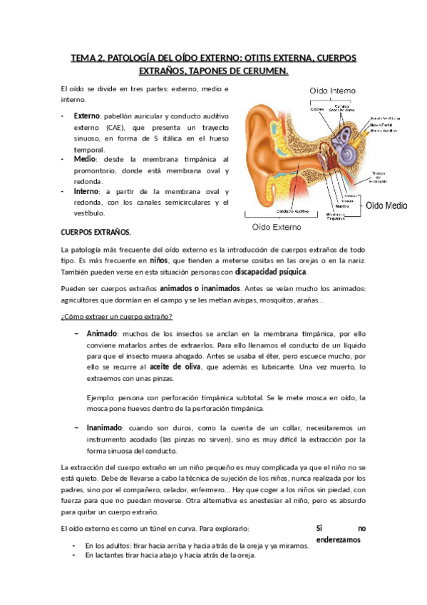 Miniatura del documento 2. Oido externo.pdf