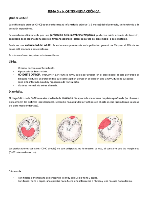 Miniatura del documento 5 y 6. OMC.pdf