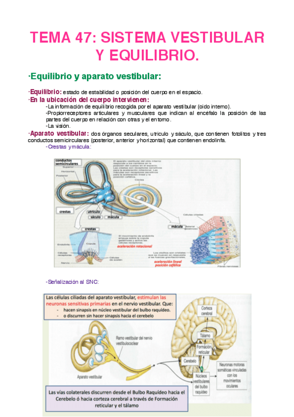 Miniatura del documento TEMA-47.pdf