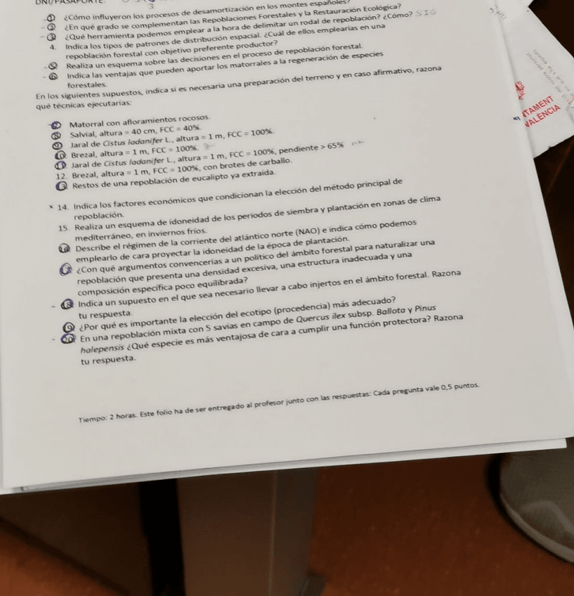 Miniatura del documento WhatsApp-Image-2019-07-10-at-01.jpg