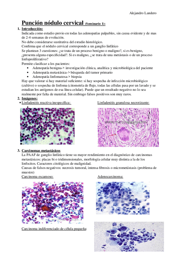 Miniatura del documento SEMINARIOS.docx