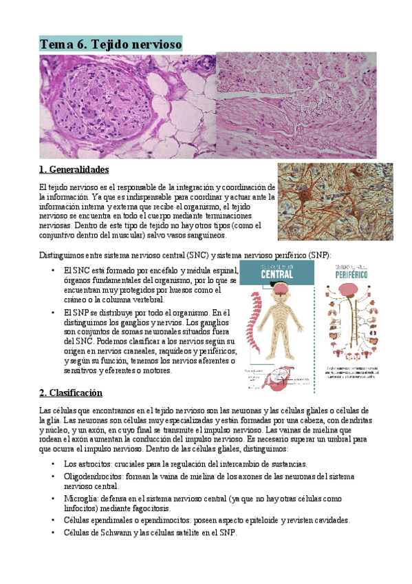 Miniatura del documento Tema-6-resumen.pdf