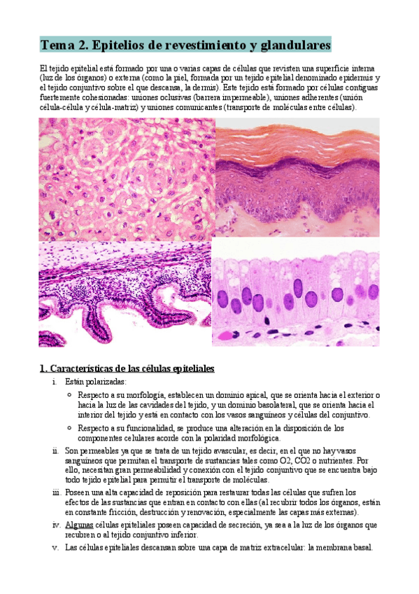 Miniatura del documento Tema-2-resumen.pdf