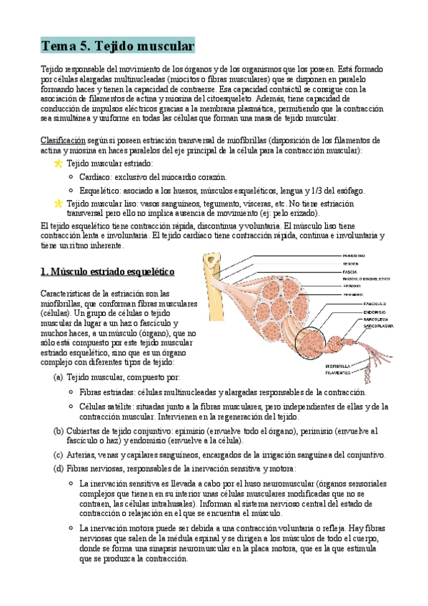 Miniatura del documento Tema-5-resumen.pdf