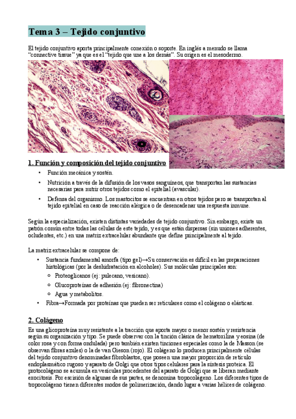 Miniatura del documento Tema-3-resumen.pdf