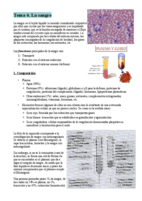 Miniatura del documento Tema-4-resumen.pdf