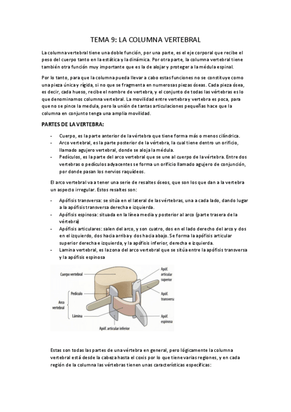 Miniatura del documento TEMA-9.pdf