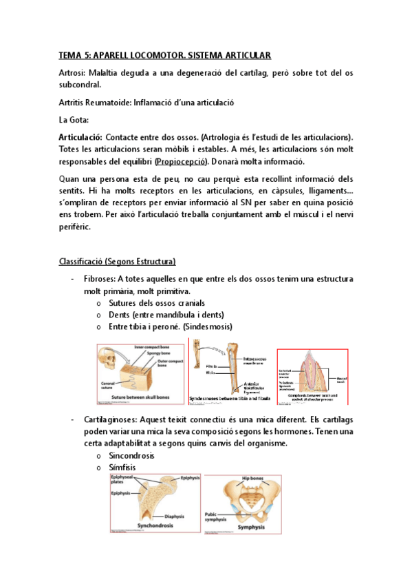 Miniatura del documento TEMA-5.pdf