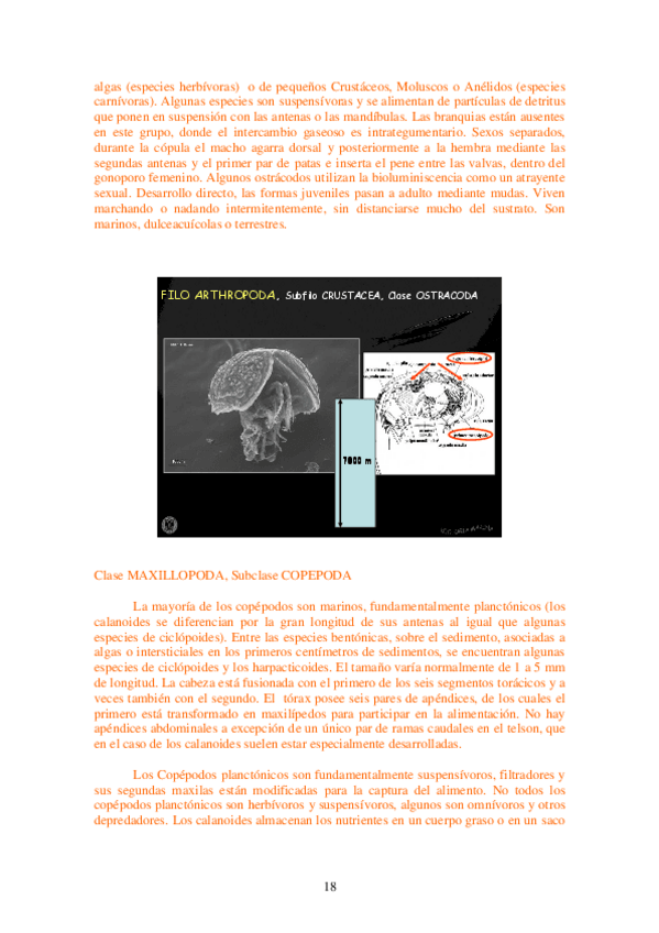 Miniatura del documento EL PÉLAGOS 2.pdf