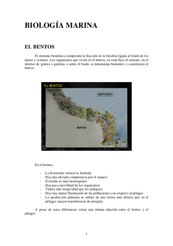 Miniatura del documento EL BENTOS.pdf
