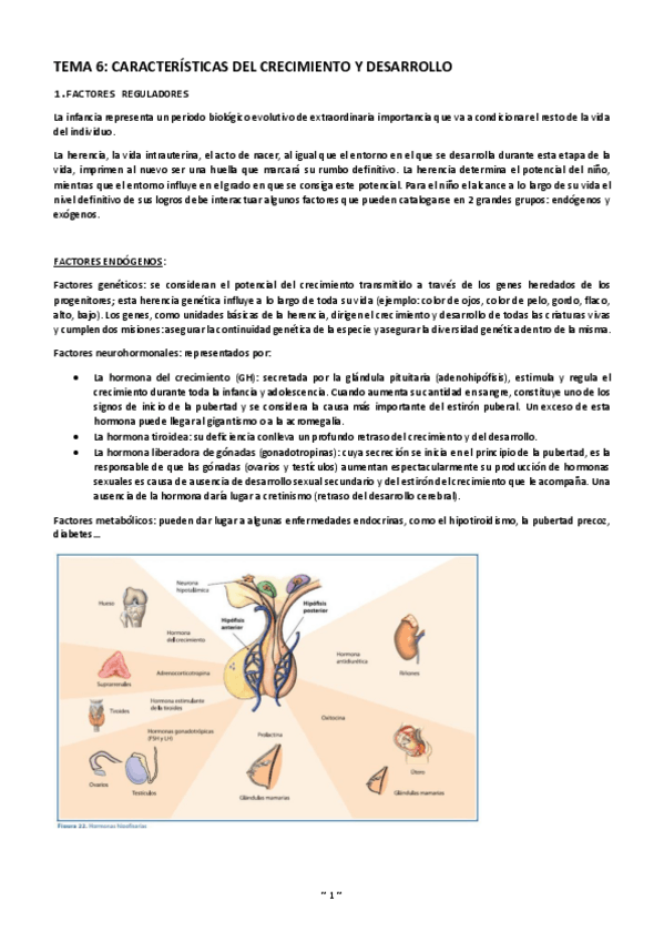 Miniatura del documento Tema-6-caracteristicas-crecimiento-y-desarrollo.pdf