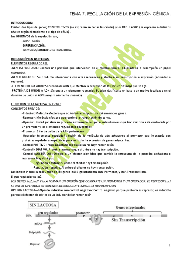 Miniatura del documento GENETICA 7-FINAL.pdf