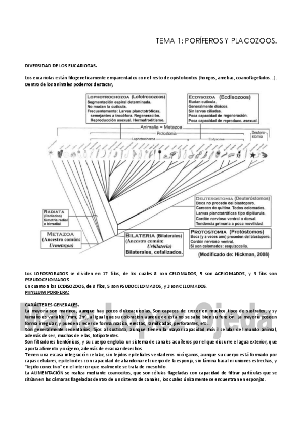 Miniatura del documento TEMA 123.pdf